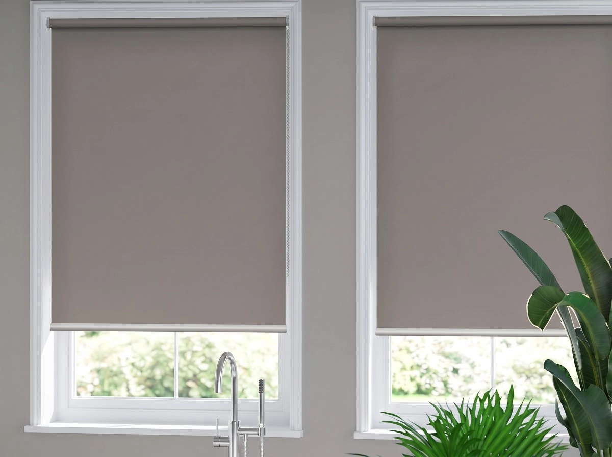 Roller Blind Indoor
